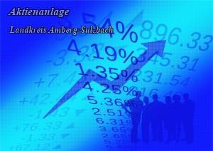 Roboadvisor Investment - Lk. Amberg-Sulzbach
